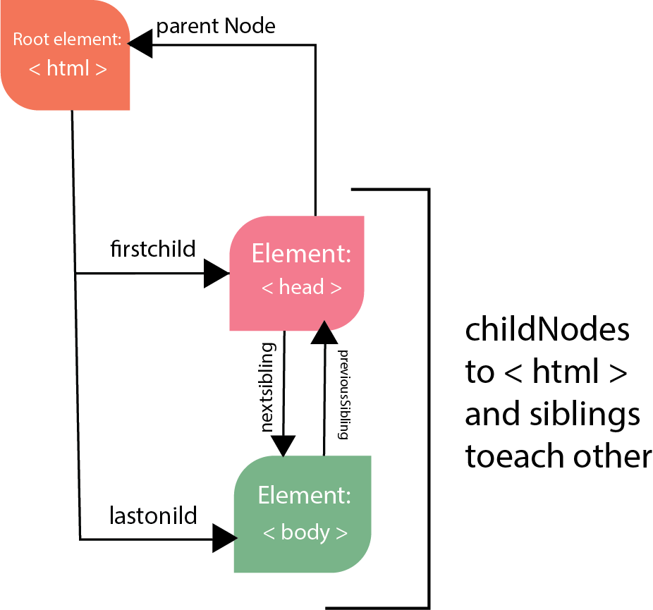 علاقات كائنات node في لغة JavaScript